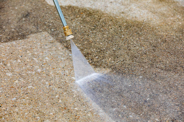 Best Dumpster Area Cleaning  in East Moriches, NY
